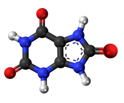 Uric Acid 1